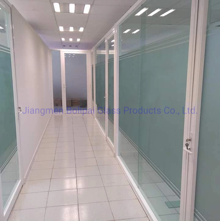 Tempered Glass/Frosted Glass for Shower Room Door Panels