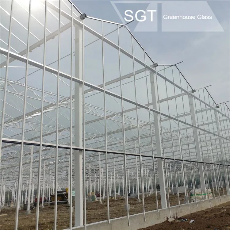 4mm Horticulture with Anti-Reflective Coating Light Transmission Lt 97.5% Diffused Glass/ Flat Tempered or Not Tempered Glass for Greenhouse