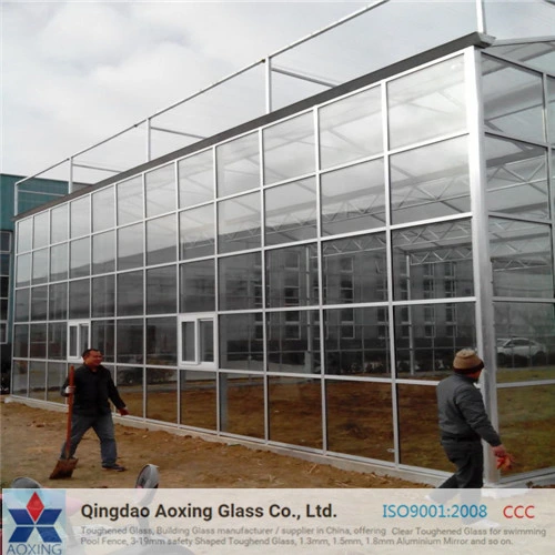 Anti-Reflective Coated Low Iron Tempered Solar Glass with Good Price
